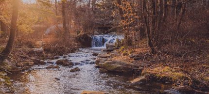 Flowing creek in the woods in Allentown, Pennsylvania